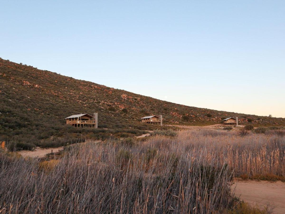 Africamps At Karoo 1 Villa De Doorns Bagian luar foto