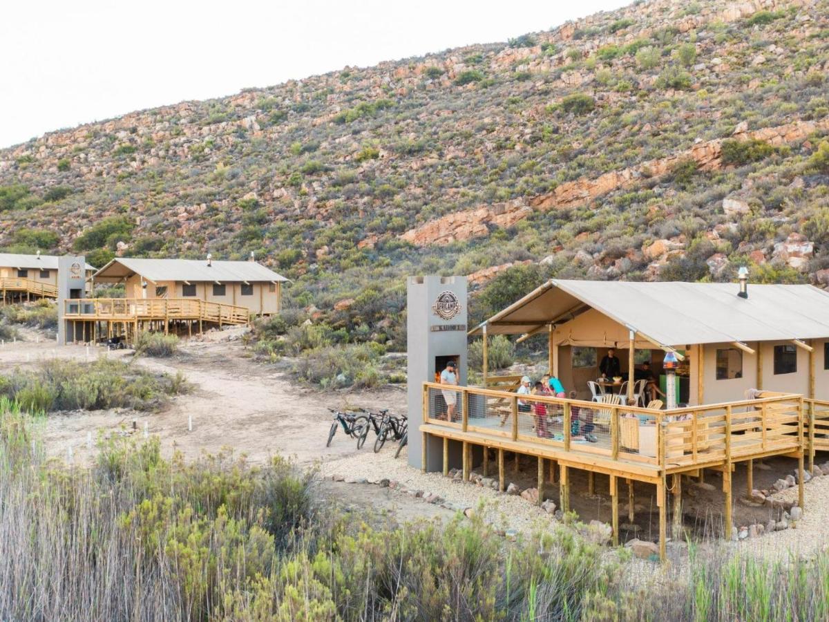 Africamps At Karoo 1 Villa De Doorns Bagian luar foto